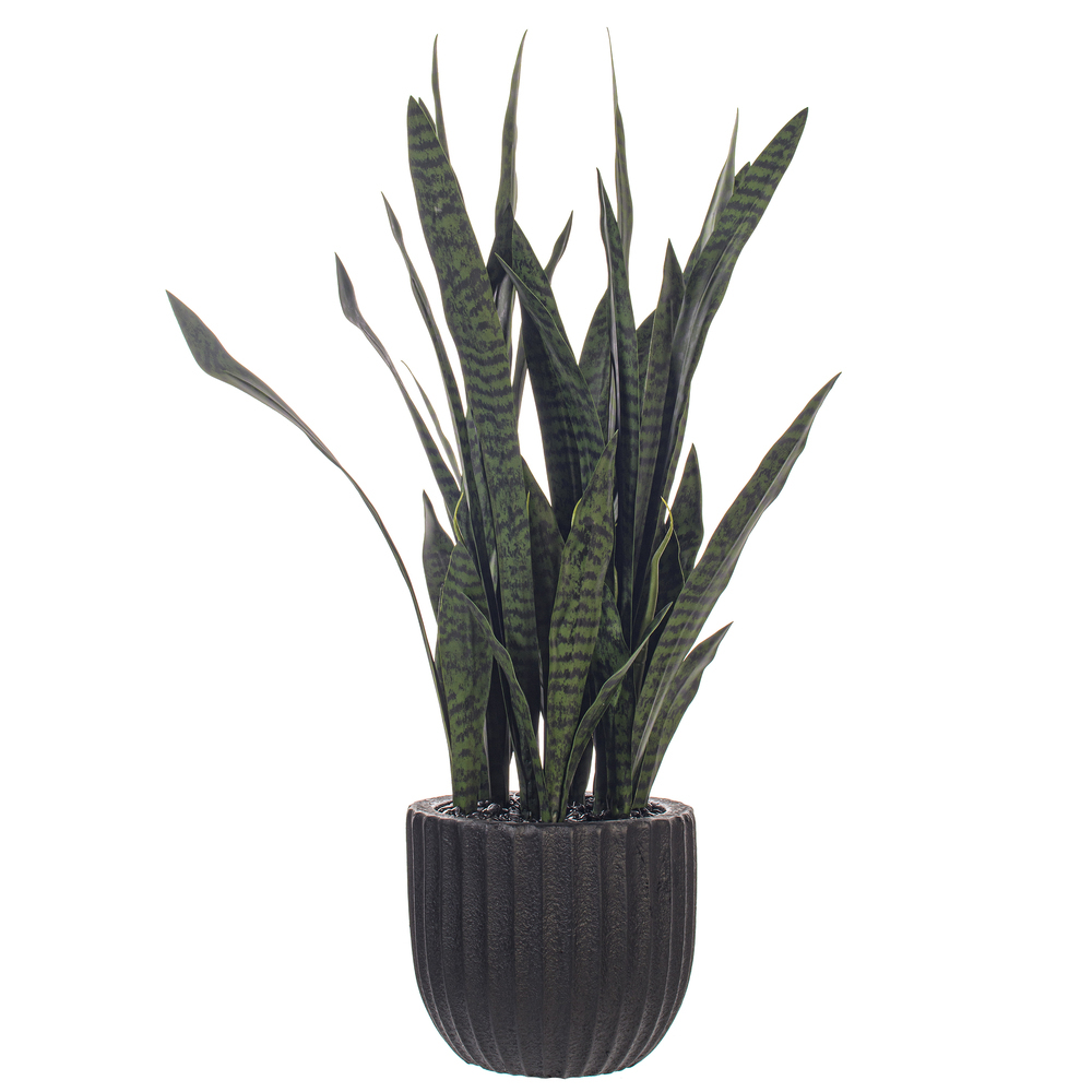 47" Dark Green Sansevieria Potted FT UV