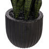 47" Dark Green Sansevieria Potted FT UV - view 4 of 5