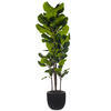 72" Green Fiddle Leaf Potted FT UV - view 1 of 5