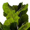 72" Green Fiddle Leaf Potted FT UV - view 3 of 5
