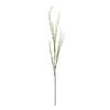 50" Green Mountain Prunus Stem 3/Pk - view 1 of 5