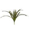 32" Green Orchid Leaves Bush - view 1 of 3