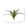 32" Green Orchid Leaves Bush - view 3 of 3