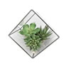 Vickerman Artificial Succulent and Terrarium Arrangement - view 1 of 2