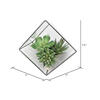 Vickerman Artificial Succulent and Terrarium Arrangement - view 2 of 2