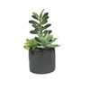 Vickerman Artificial Potted Succulents - view 1 of 3