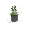 Vickerman Artificial Potted Succulents - view 3 of 3