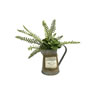 12" Green Fern in Rustic Watering Can - view 1 of 3