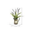 16" Lavender Plant in Rustic Water Can - view 2 of 2