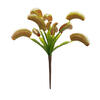 12" Green Venus Flytrap Plant 3/pk - view 1 of 6