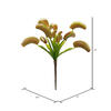 12" Green Venus Flytrap Plant 3/pk - view 3 of 6