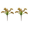 12" Green Venus Flytrap Plant 3/pk - view 5 of 6