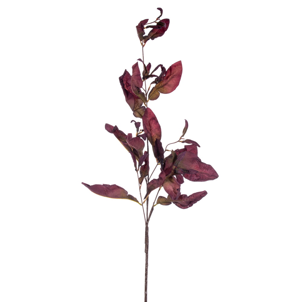 Vickerman 44.5" Dried Pomelo Leaves Spray