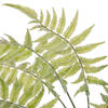 33.5" Light Green Jungle Fern Spray 2/bg - view 5 of 5