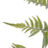 33.5" Light Green Jungle Fern Spray 2/bg - view 4 of 5