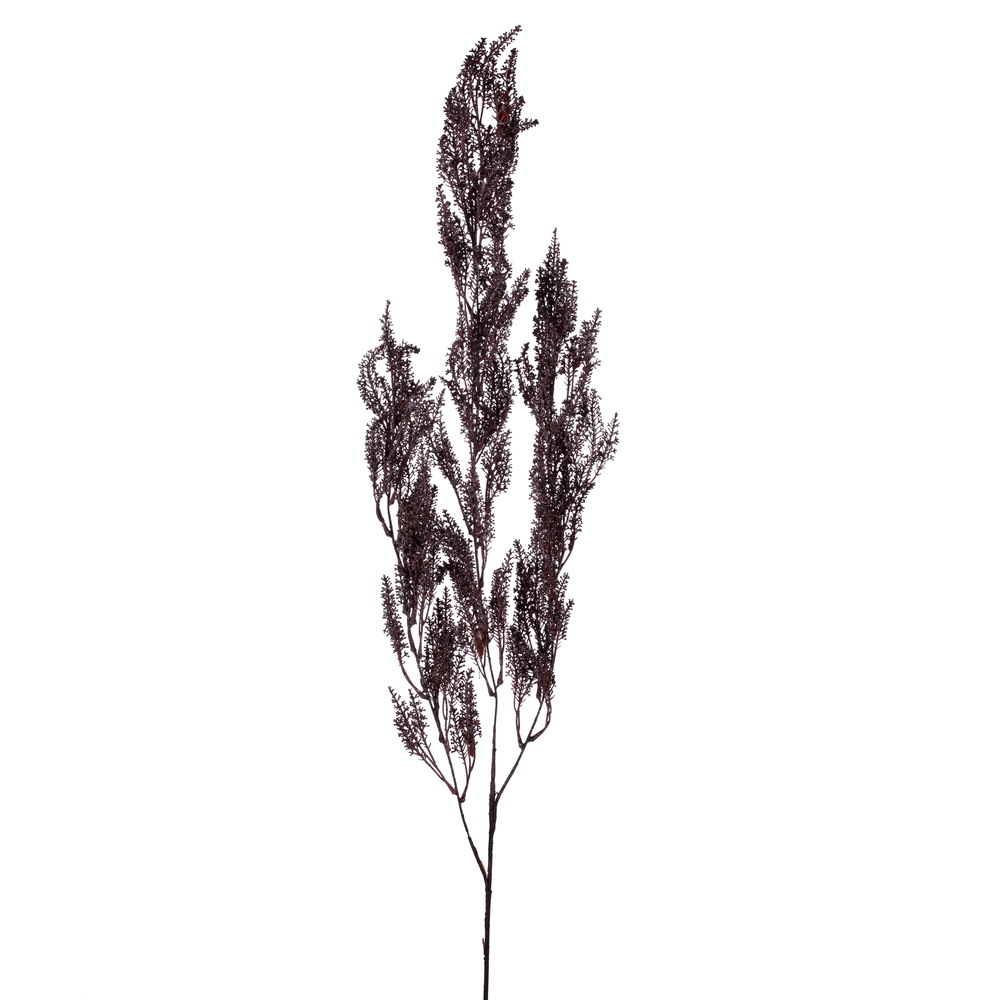 Vickerman 43" Dry Hanging Grass Branch