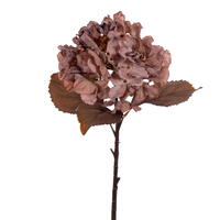 18.5" Dried Hydrangea Sprays