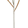 Vickerman Artificial 51" Glitter Reed Spray - view 3 of 4
