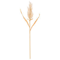 36" Cluster Reeds