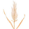 Vickerman Artificial 36" Cluster Reed Spray - view 2 of 4
