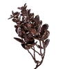 Vickerman Artificial 59" Eucalyptus Garland - view 2 of 5