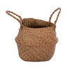 Vickerman Green Fiddle Leaf in Woven Basket  - view 4 of 4