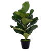 Vickerman Green Fiddle Leaf in Woven Basket  - view 2 of 4
