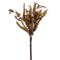 Leaves Bundles