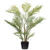 Vickerman Green Areca Palm Plant.  - view 1 of 5