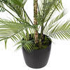 Vickerman Green Areca Palm Plant.  - view 4 of 5