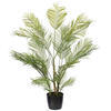Vickerman Green Areca Palm Plant.  - view 5 of 5