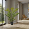 Vickerman Green Areca Palm Plant.  - view 2 of 5