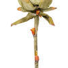 Vickerman Dried Protea Stem, 2 per Bag - view 3 of 4