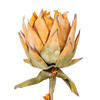 Vickerman Dried Protea Stem, 2 per Bag - view 2 of 4
