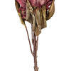Vickerman 30.5" Dried Protea Stem, 2 per Bag - view 3 of 4