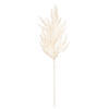 24" Pampas Grass Wreath - view 1 of 4