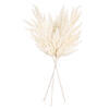 24" Pampas Grass Wreath - view 4 of 4