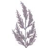 24" Beige Pampas Grass Wreath - view 2 of 5