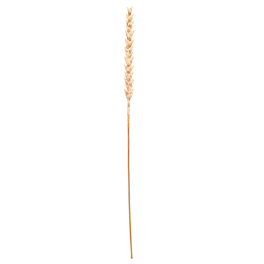 Vickerman 34" Artificial Design Polynesian Stem, 3 per bag