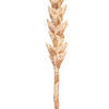 Vickerman 34" Artificial Design Polynesian Stem, 3 per bag - view 3 of 4