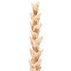 Vickerman 34" Artificial Design Polynesian Stem, 3 per bag - view 2 of 4