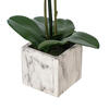 Vickerman 22" Artificial Potted Real Touch Phalaenopsis - view 5 of 5