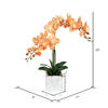 Vickerman 22" Artificial Potted Real Touch Phalaenopsis - view 3 of 5