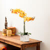 Vickerman 22" Artificial Potted Real Touch Phalaenopsis - view 2 of 5