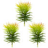 8" Green Crassula Tetragona Pick 3/Pk - view 4 of 4