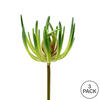 7" Green Jade Pick 3/Pk - view 3 of 3