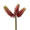 6" Red Jellybean Pick 3/Pk - view 1 of 3