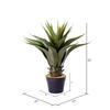 Vickerman Artificial Potted Aloe Vera - view 4 of 4