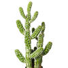 Vickerman Artificial Potted Cereus Cactus - view 3 of 7
