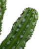 Vickerman Artificial Potted Cereus Cactus - view 5 of 7